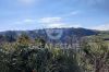 Foto Particolari | Panorami della proprietà Casa dei limoni