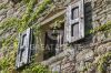 Foto Particolari | Panorami della proprietà Podere del Corriere