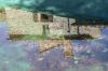 Foto Particolari | Panorami della proprietà Podere del Corriere