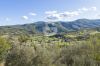 Foto Particolari | Panorami della proprietà Podere del Corriere