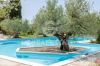 Gallery Details | Views of the property Villa degli Olivi