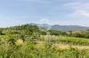 Gallery Details | Views of the property Villa degli Olivi