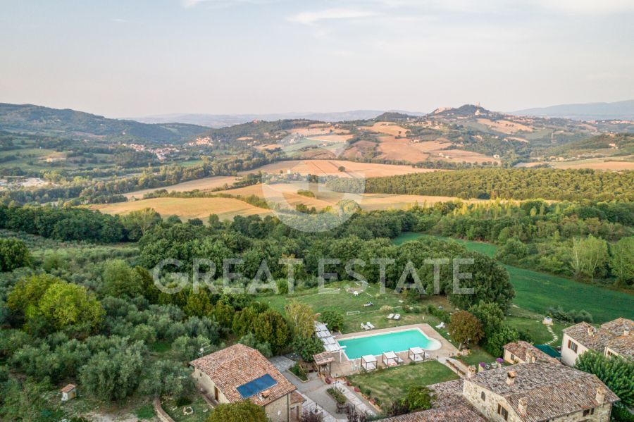 Girasoli vista Todi