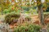 Gallery Details | Views of the property Girasoli vista Todi