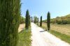 Foto Particolari | Panorami della proprietà Casa dei Pini