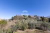 Gallery Details | Views of the property Villa Peonia