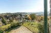 Gallery Details | Views of the property Podere Margherita