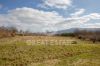Foto Particolari | Panorami della proprietà Podere Fargneta