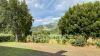 Gallery Details | Views of the property Podere Solari