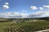 Bilder/Galerie Details | Ansichten der Immobilie LA RESIDENZA VINICOLA