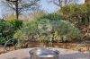 Gallery Details | Views of the property L'OLIVO