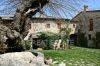 Gallery exterior of the property L'OLIVO