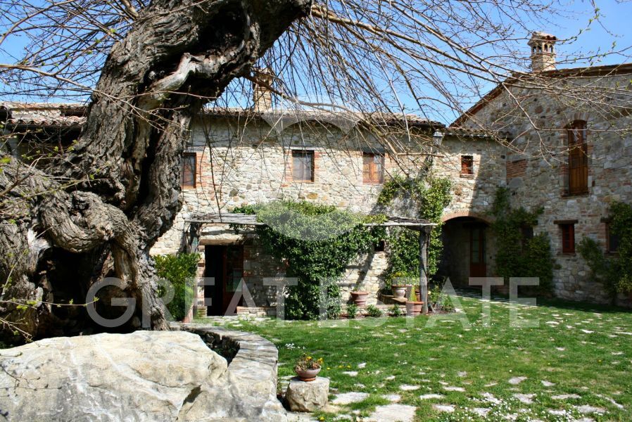 L'OLIVO