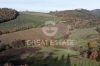 Foto Particolari | Panorami della proprietà Borgo nel Chianti