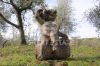 Foto Particolari | Panorami della proprietà Borgo nel Chianti