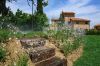 Gallery Details | Views of the property TENUTA LAVANDA