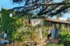 Gallery exterior of the property IL GELSO DEL BORGO