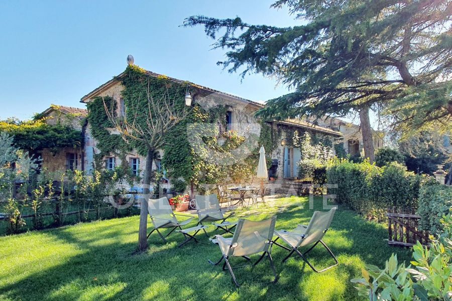 IL GELSO DEL BORGO