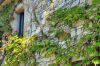 Gallery Details | Views of the property IL GELSO DEL BORGO