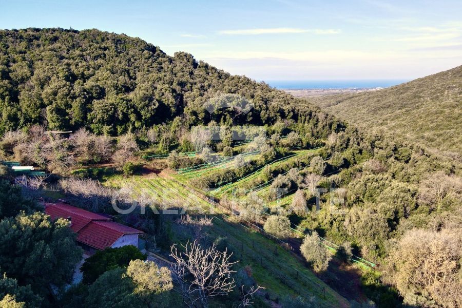 Podere Grotticelle