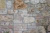 Gallery Details | Views of the property LA DIMORA DEI FICHI GIGANTI