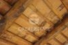 Gallery Details | Views of the property LA DIMORA DEI FICHI GIGANTI