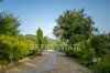 Foto Particolari | Panorami della proprietà VILLA MECENATE