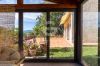 Gallery interior of the property Podere Le Tre Grazie