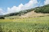 Gallery Details | Views of the property Il gioiello di Luna