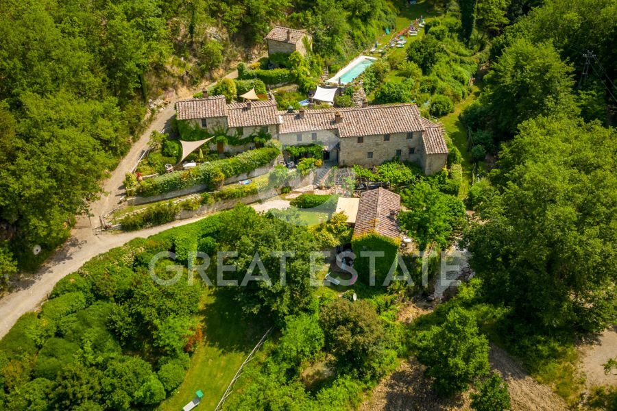 IL RUSCELLO DEL CHIANTI