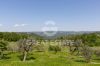 Foto Particolari | Panorami della proprietà La Ginestra