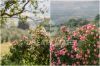Bilder/Galerie Details | Ansichten der Immobilie I TRAMONTI DI GUARDEA