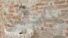 Foto Particolari | Panorami della proprietà CASALE BATTIFOLLE