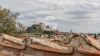 Foto Particolari | Panorami della proprietà Casa colonica in centro