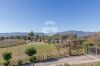 Foto Particolari | Panorami della proprietà Tenuta L'Oliveta