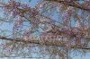 Foto Particolari | Panorami della proprietà Tenuta L'Oliveta