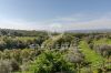 Foto Particolari | Panorami della proprietà Tenuta L'Oliveta