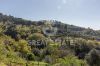 Foto Particolari | Panorami della proprietà Tenuta L'Oliveta