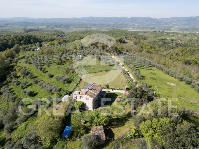 Tenuta L'Oliveta