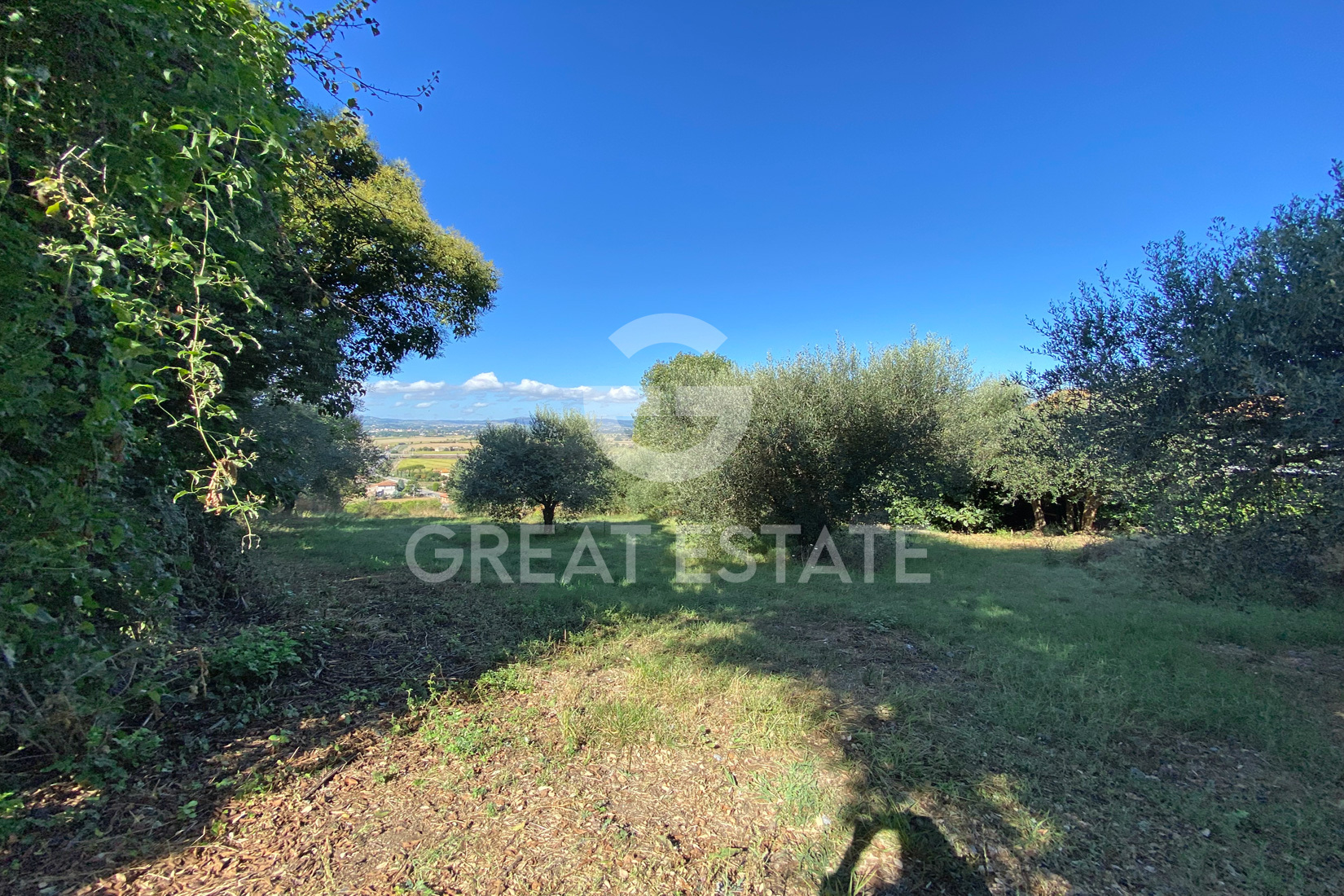 House in Valiano - Image 4