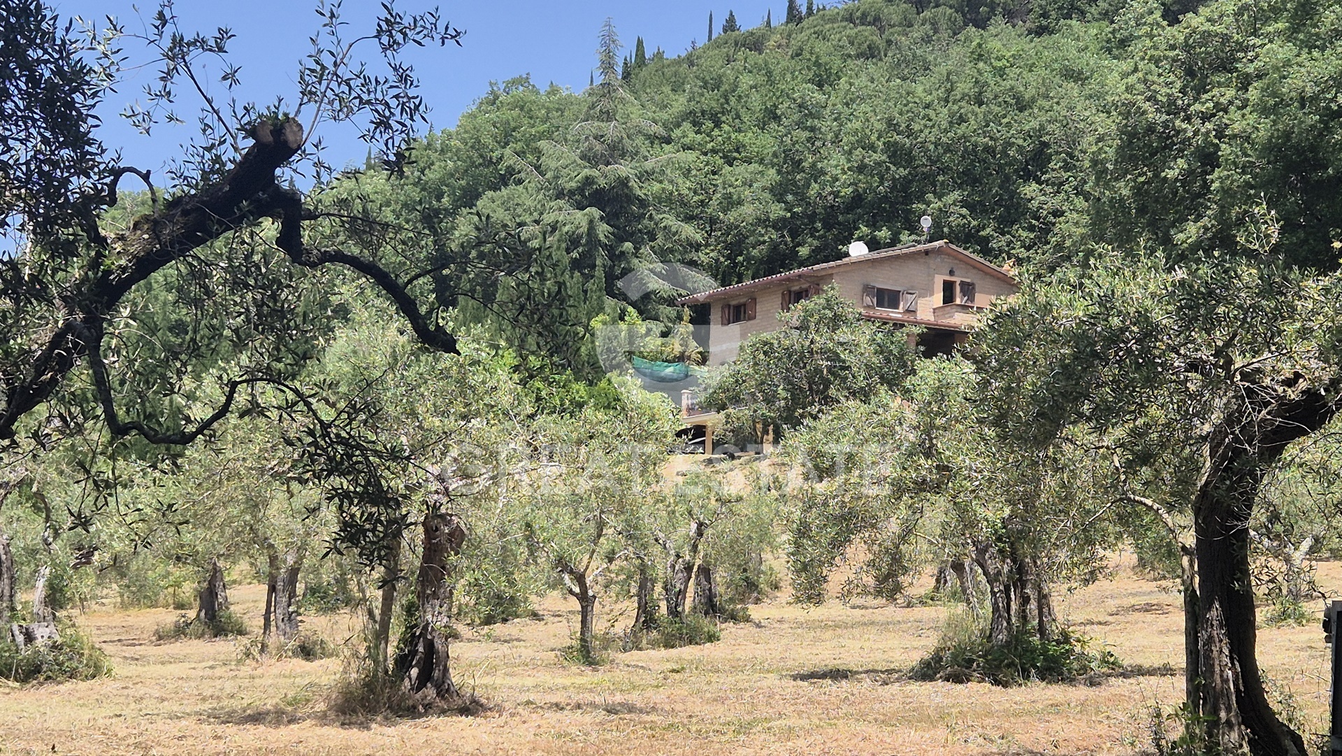 House in Colognola - Image 5