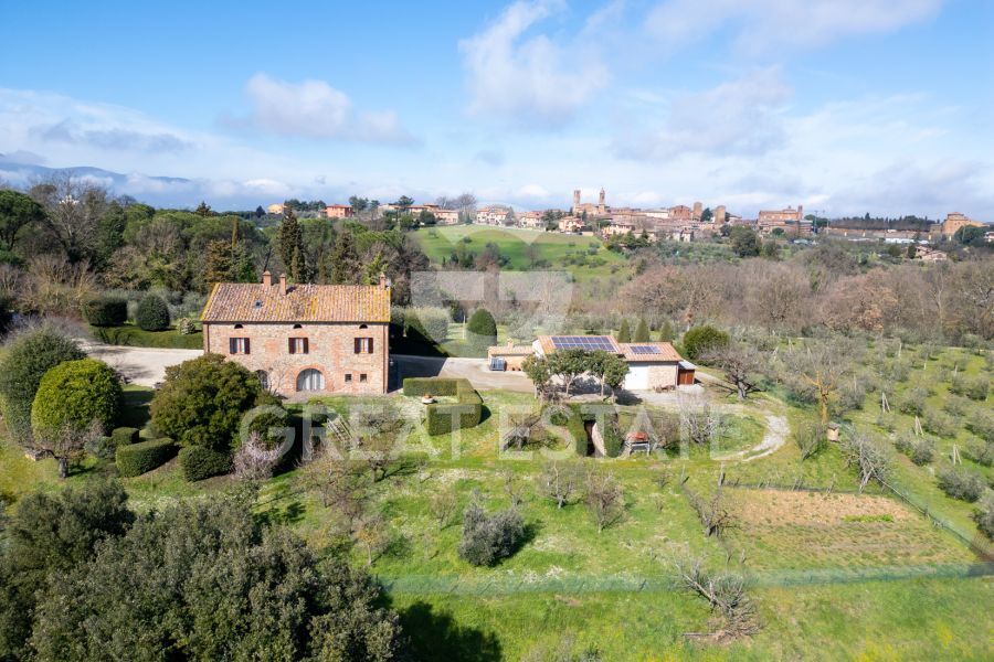 L'Oliveta