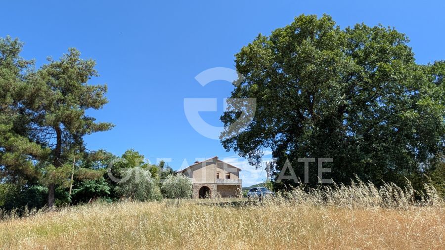La Quercia di Sant'Antonino