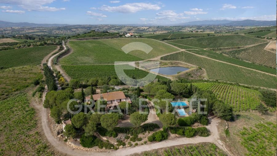 La Valle delle Vigne