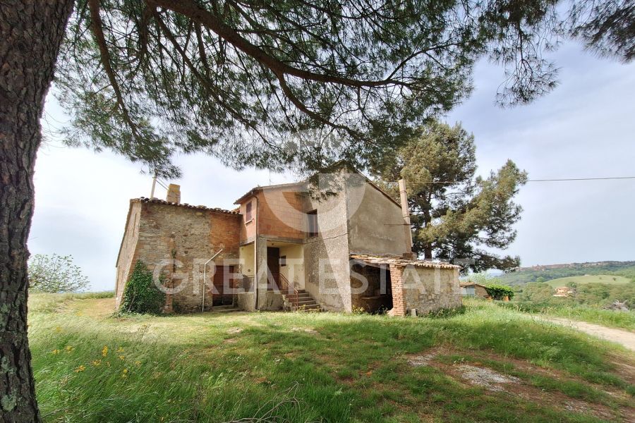 Tenuta Bellavista