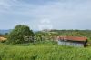 Фото Подробности | Виды на недвижимость Tenuta Bellavista