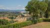 Foto Particolari | Panorami della proprietà Borgo Poggio Belveduto