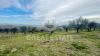 Foto Particolari | Panorami della proprietà VILLA SANTA LUCIA