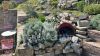 Gallery Details | Views of the property LA TORRE E IL GIARDINO