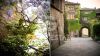 Gallery exterior of the property Magica Civita